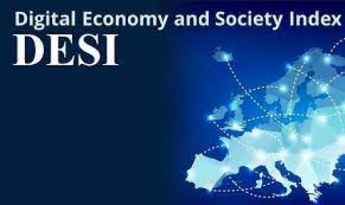 DESI (EU Digital Economy and Society Index) 2021 Report Translation Study Has Been Done
